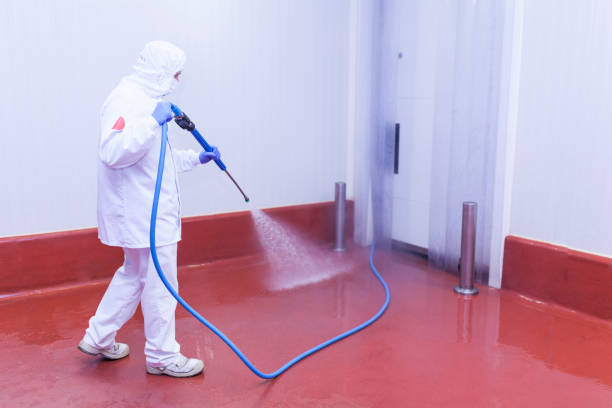 Best Window and Screen Pressure Cleaning in Hilliard, OH